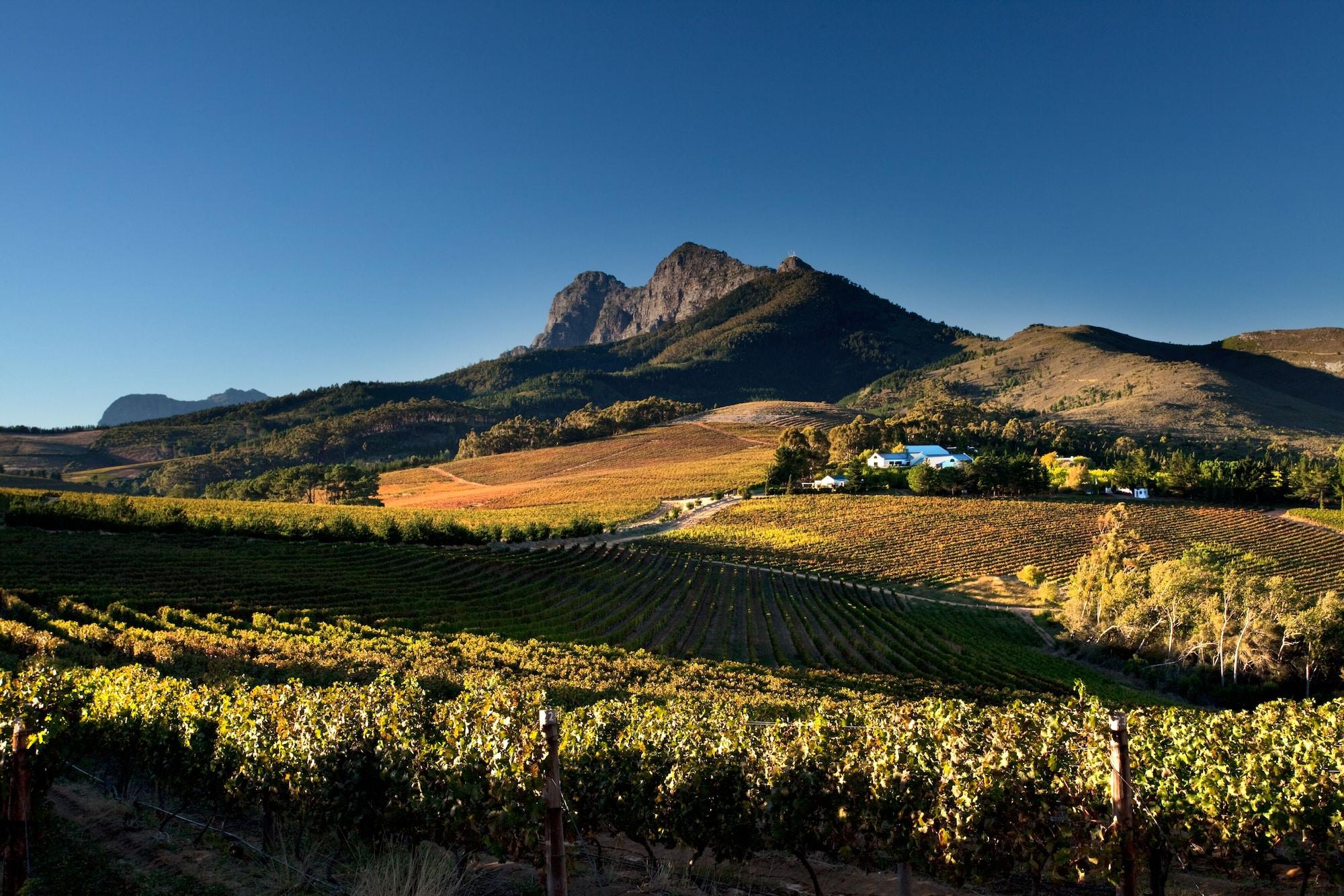 Bed and Breakfast Marianne Wine Estate Стелленбос Экстерьер фото